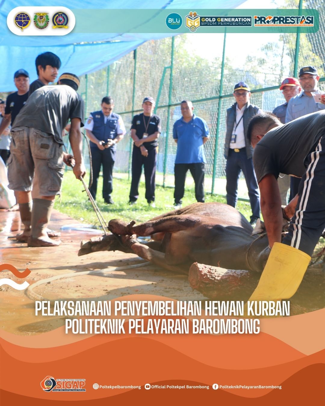 You are currently viewing Politeknik Pelayaran Barombong Selenggarakan Penyembelihan Hewan Kurban, Rabu (19/06)